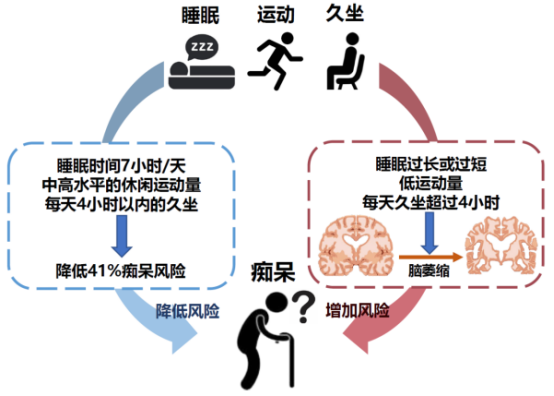 睡眠质量与阿尔茨海默病