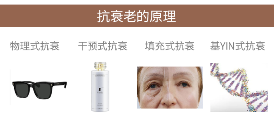 抗衰老的原理