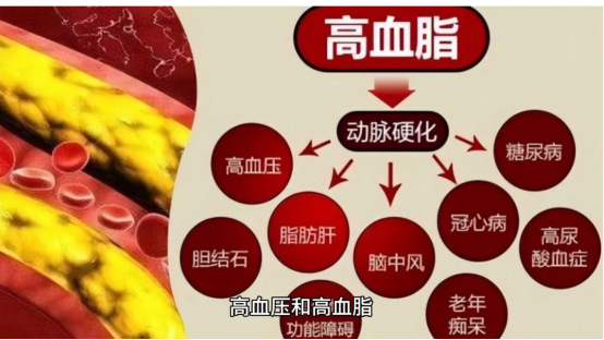 4569038609572229.png