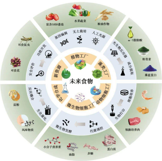 5类食物/4餐管理/3项运动/2小时屏幕/1次体检