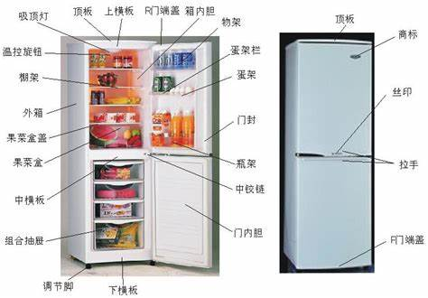 冰箱分区示意图