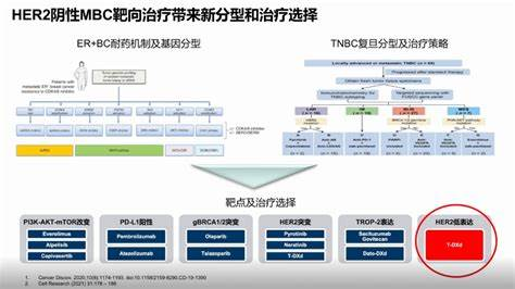 从“非阴即阳”到“连续谱系”：HER2低表达患者的身份重构