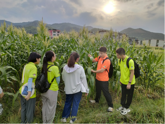 落地实践：AI早筛下乡的“国内样本”