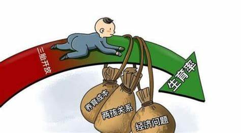 政策实施的现实影响