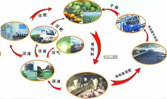 实施路径：构建全链条接种生态