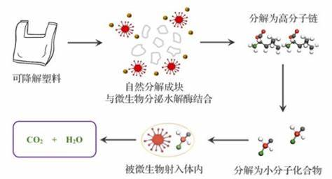 技术原理：无缝合与可降解的协同创新 