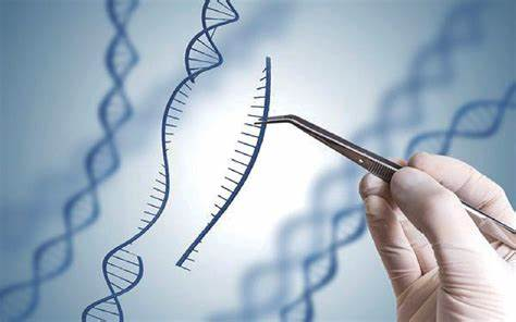 争议焦点：科学与伦理的双重困境