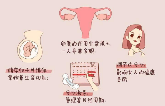 育龄女性的早期症状：容易被忽视的“身体信号” 