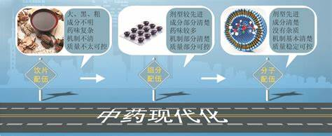 中西医协同治疗：延缓肾病进展的关键
