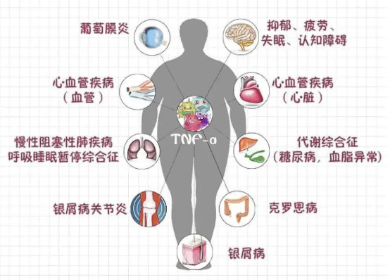 老年群体重症风险：多重机制叠加