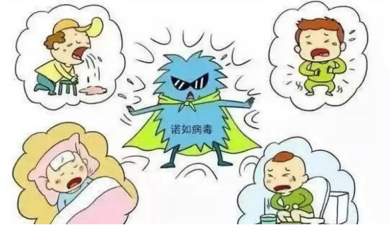 诺如病毒肠炎的病原学与流行特征 