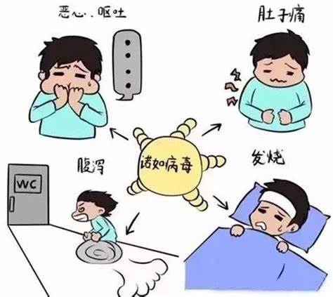 诺如病毒肠炎的临床表现与高危人群