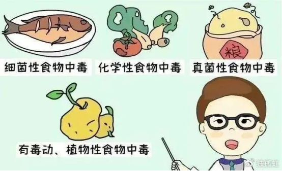 从刺身到发酵食品的“隐形杀手”