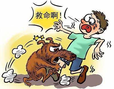 狂犬病暴露风险的现状与挑战