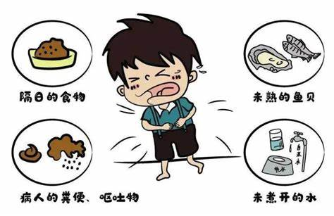 诺如病毒肠炎 