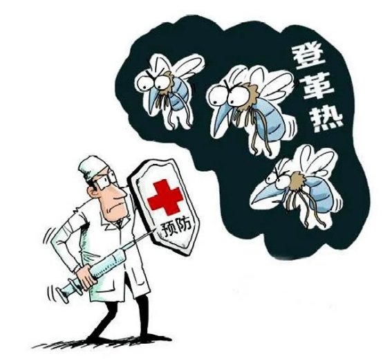 东南亚地区登革热防控策略与措施