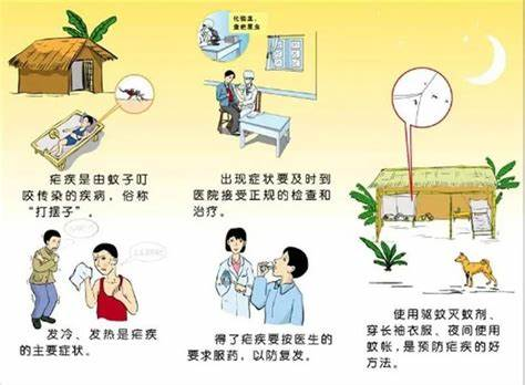 疟疾疫苗普及计划的启动与目标 