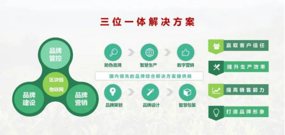 标准化与信息化双轮驱动