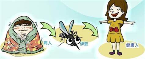 疾控部门紧急启动灭蚊应急响应的措施