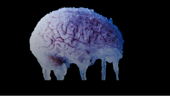 冷冻人脑组织复活实验的科学突破