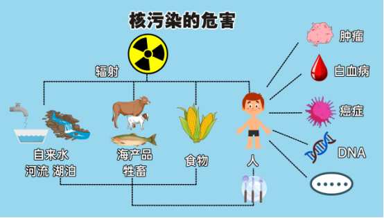 核污水排放对甲状腺健康的影响