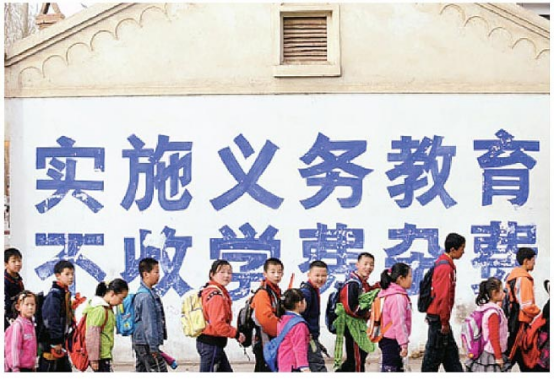 政策突破：从“试点探索”到“全面铺开”的跨越