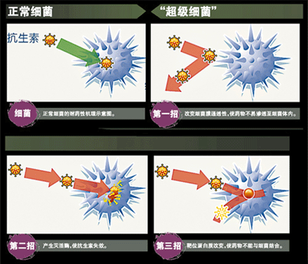 “超级细菌”：耐药性的终极产物