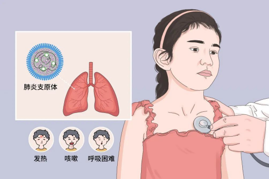 社会各界的责任与行动 