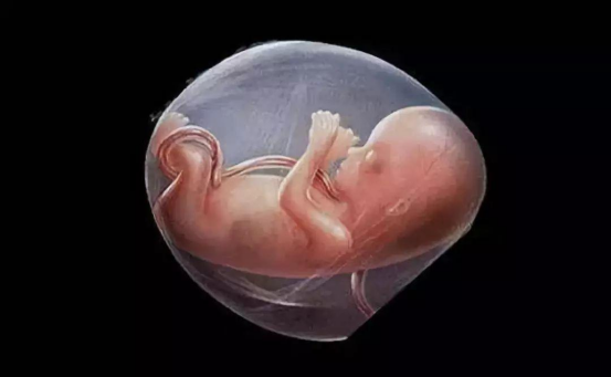 代孕黑产链的运作模式：从“幽灵婴儿”到“假人婴儿”
