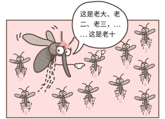 气候变暖对登革热疫情的影响