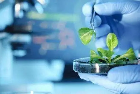 技术突破：从主观判断到生物标记的跨越