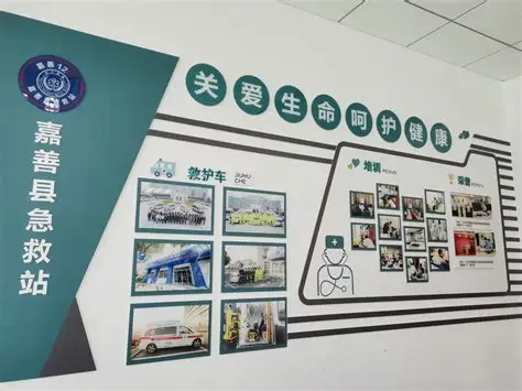 制度创新：重构急救生态链