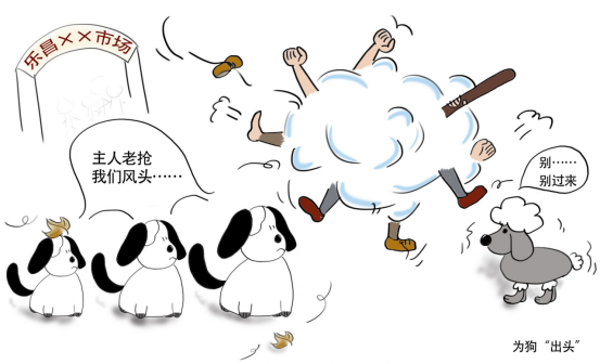 伦理风暴：生命权、动物权与人类尊严的三重博弈 