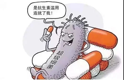 耐药危机溯源：人类行为催生的“完美风暴”