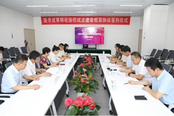 技术突破：从实验室到临床的跨越