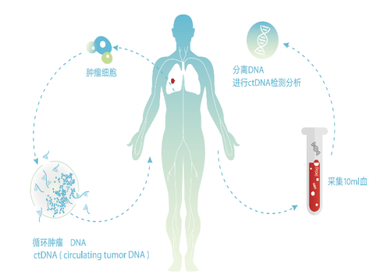 政策背景：癌症早筛的紧迫性与医保改革的必然性