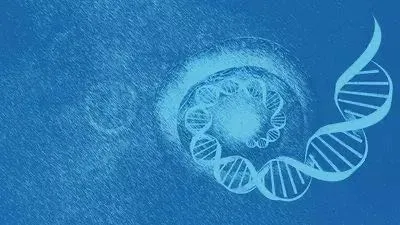 数据背后的科学突破：从基因编辑到健康成长的跨越