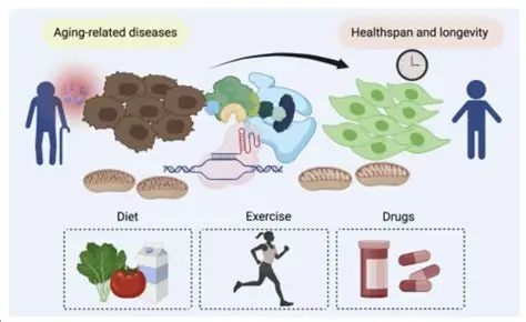从晚期治疗到早期干预的范式变革