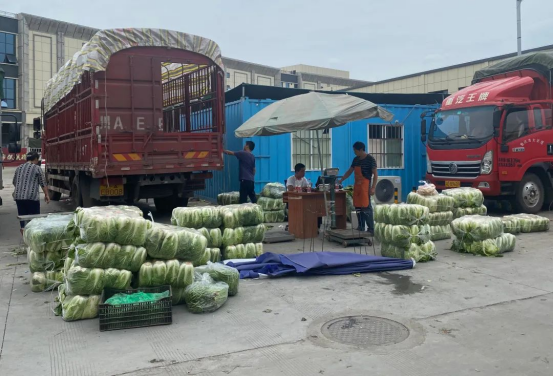 政策背景:从“降价”到“保供”的集采升级 政策背景:从“降价”到“保供”的集采升级