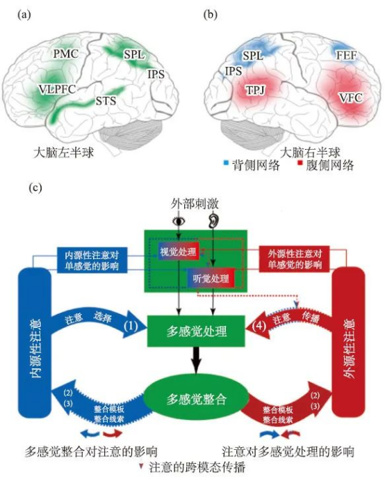 从“辅助诊断”到“决策中枢”的进化 从“辅助诊断”到“决策中枢”的进化