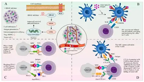TILs疗法的三十年突围