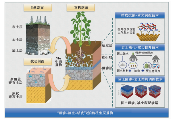 技术黑箱:算法误诊的根源与挑战 技术黑箱:算法误诊的根源与挑战