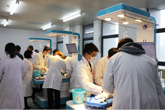 临床验证：从实验室到救命一线的实战考验 