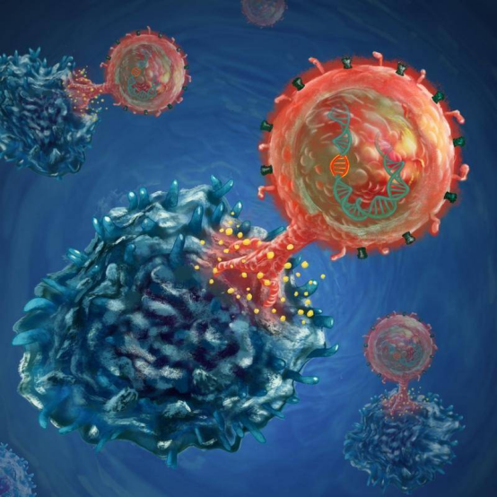 从“单癌种”到“多癌种”的范式革新 从“单癌种”到“多癌种”的范式革新