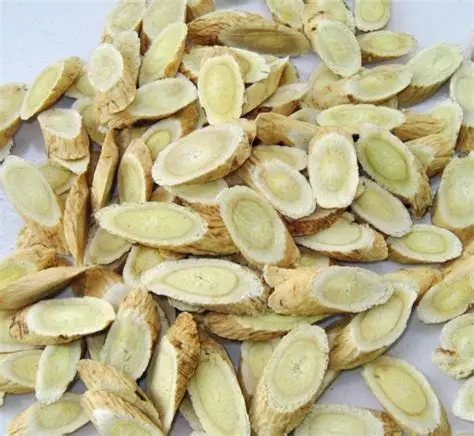 中药材价格“过山车”现象及原因 