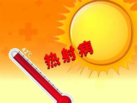 高温下的“热疾病”谱系重构：从急性到慢性的双重威胁