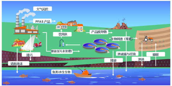 PFS的崛起:从辅助指标到审批利器 PFS的崛起:从辅助指标到审批利器