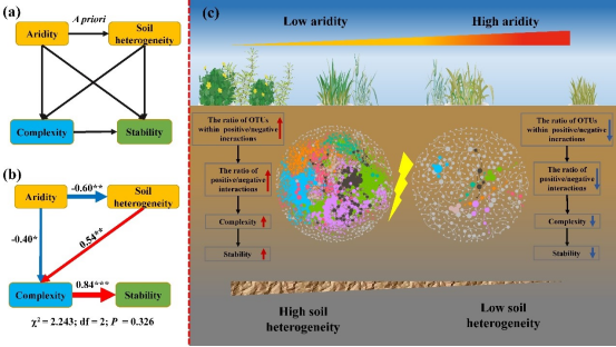 物质基础:多维度调控网络的解析 物质基础:多维度调控网络的解析