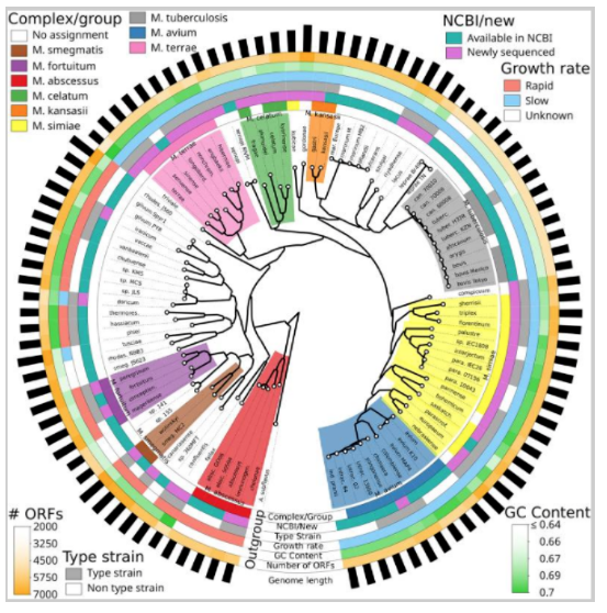 NTM的生物学特性与流行病学特征