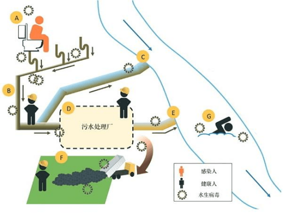NTM通过供水系统引发的感染途径